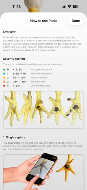 Podo: Poultry footpad scoring screenshot 1