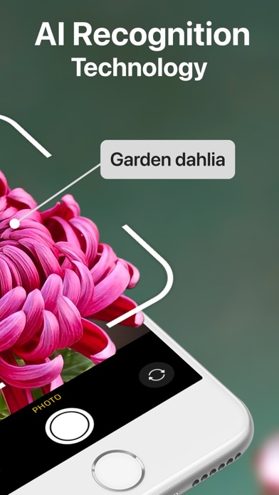 AI Plant Identifier Care Tips Screenshot