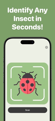 Insect Bug Identifier | BugPic screenshot