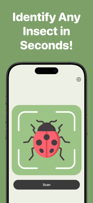 Insect Bug Identifier | BugPic Screenshot 1 of 6