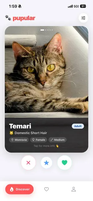 Pupular: Pet Adoption & Rescue screenshot 3