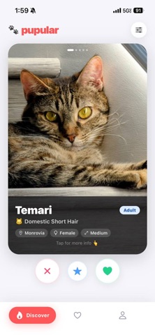 Pupular: Pet Adoption & Rescue Screenshot 3 of 5