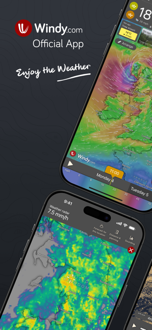 Windy.com Screenshot