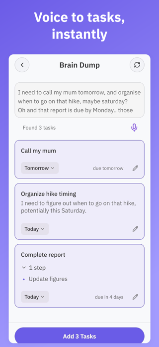 Brain Dump - Thoughts to Tasks Screenshot 3 of 5
