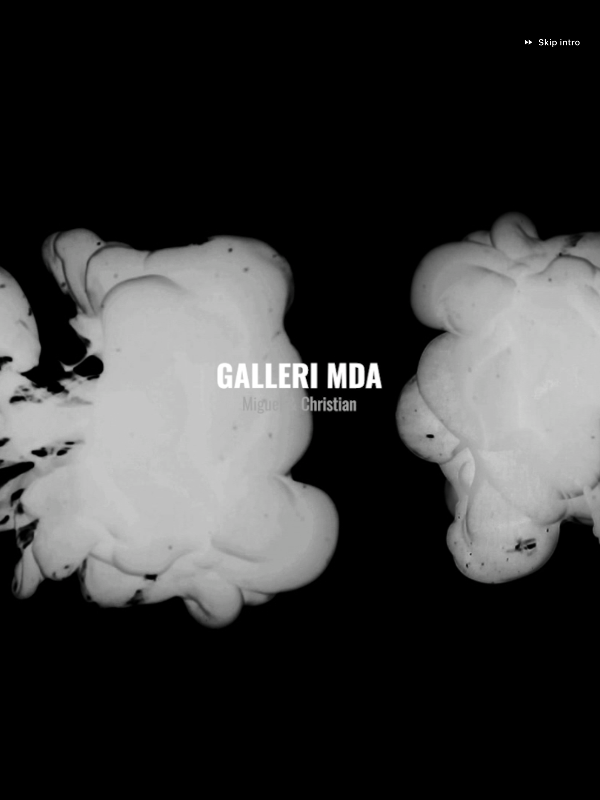 Galleri MDA screenshot 7