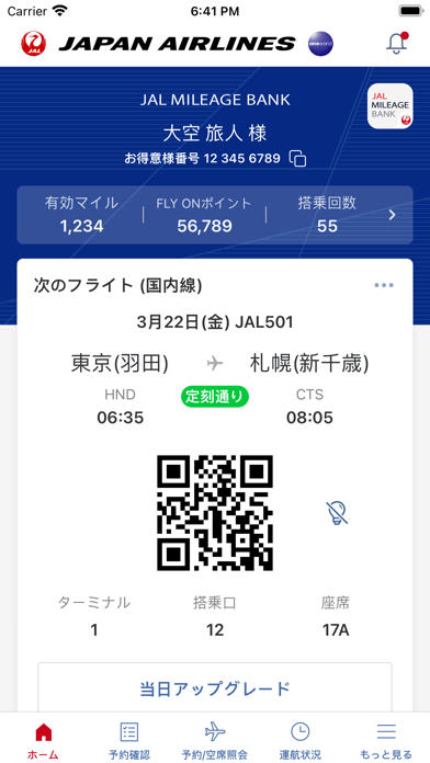 JAL screenshot1