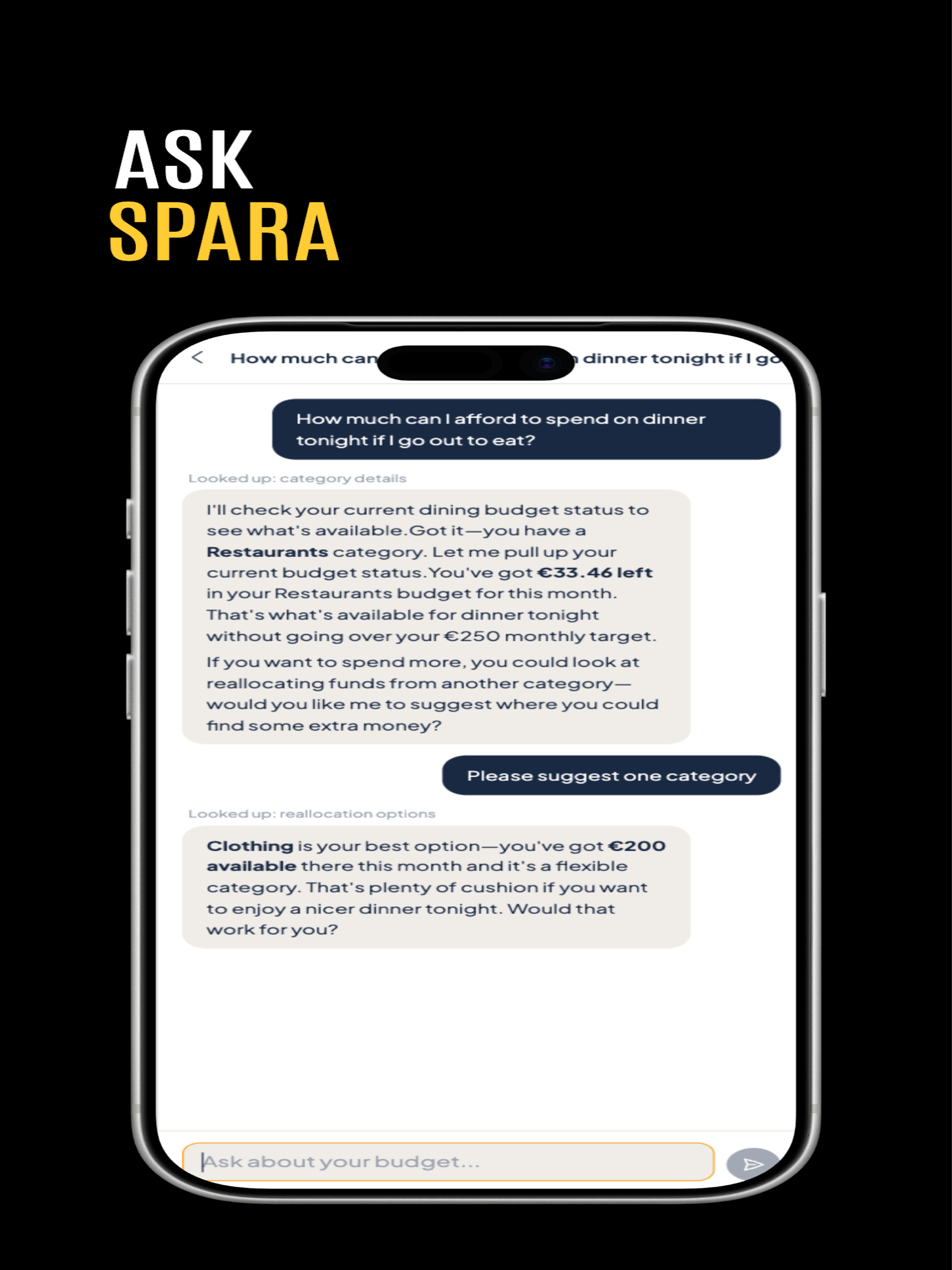Spara Budget