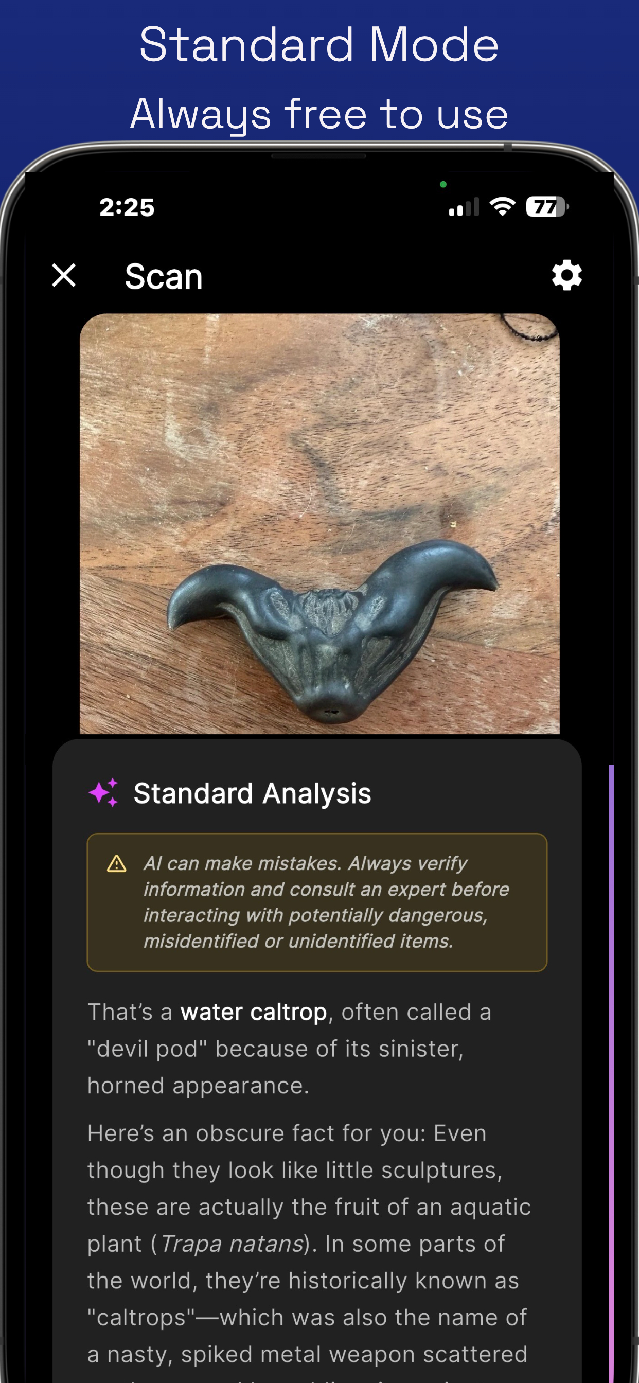 Kuriosity - AI Identifier screenshot 4