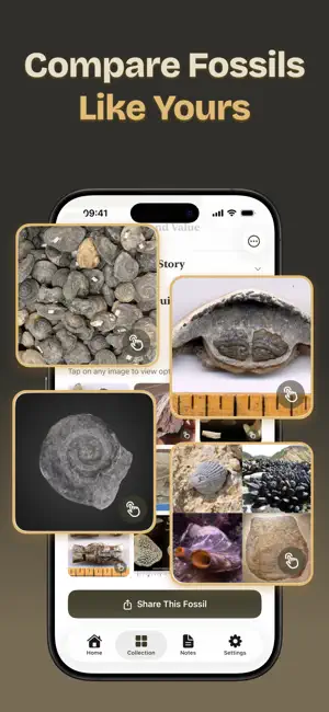 Fossil ID: Identifier & Value screenshot 3