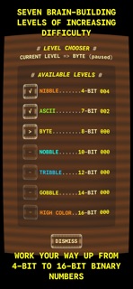 Bit Quiz 16 screenshot 5