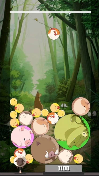 Animals Forest