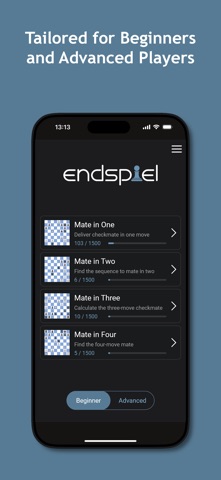 Endspiel Screenshot 2 of 4