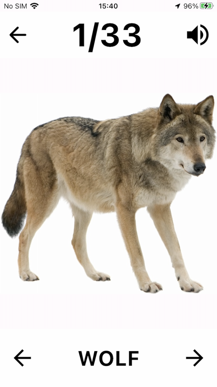 Flashcard English for beginner