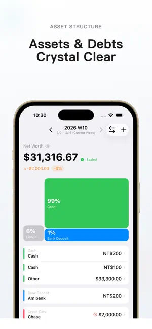Ritsu - Net Worth Manager screenshot 3