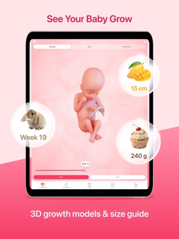 Pregnancy Tracker App ⁯ iPad screenshot