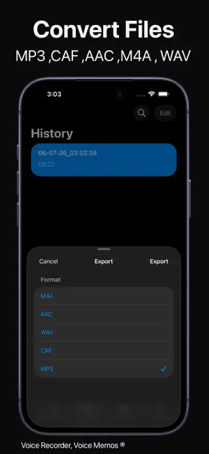 Voice Recorder, Voice Memos ® screenshot 5