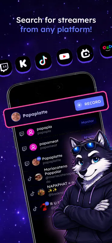 StreamRecorder screenshot 1 of 4