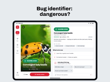Bug Identifier: BugAlert