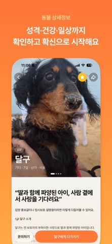 포레버(PAWREVER) - 마음을 잇는 입양 플랫폼 iPhone screenshot