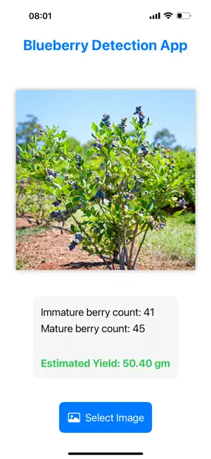 Blueberry Yield Analyzer screenshot 3