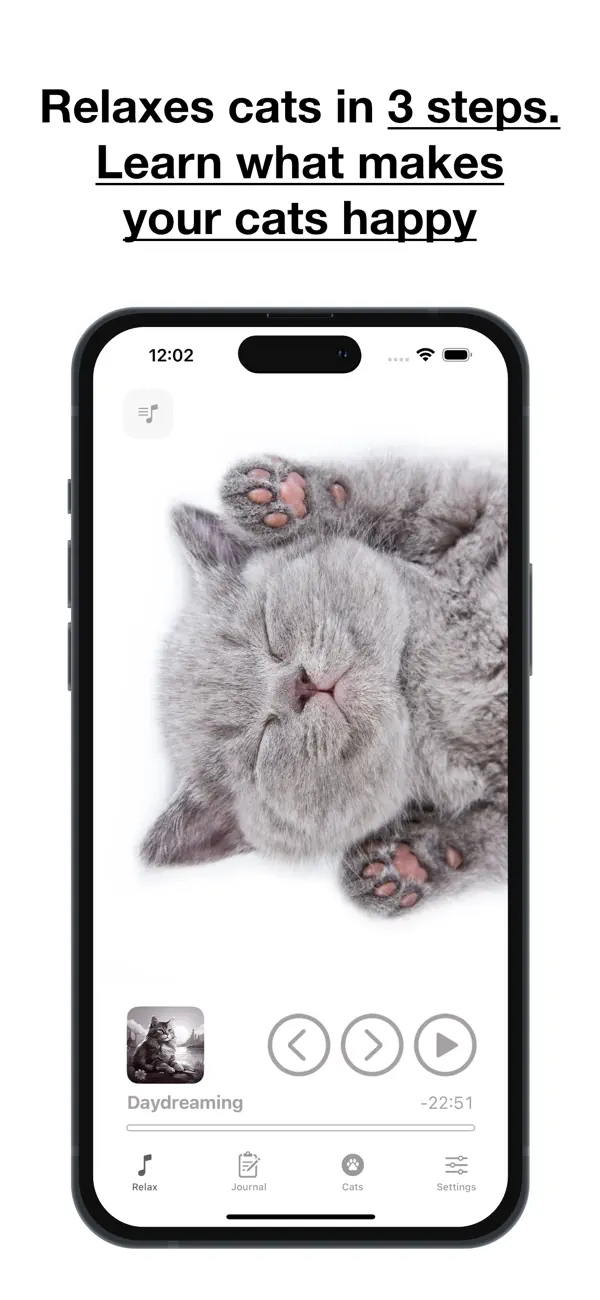 Screenshot #1 pour Cat Relax - Music & Journaling