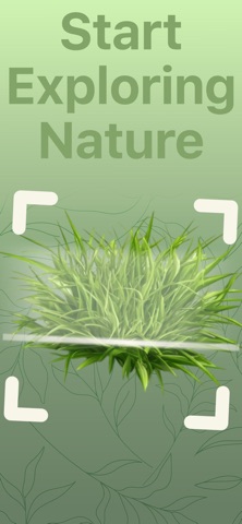 Grass Identifier Grass Scanner Screenshot 7 of 7