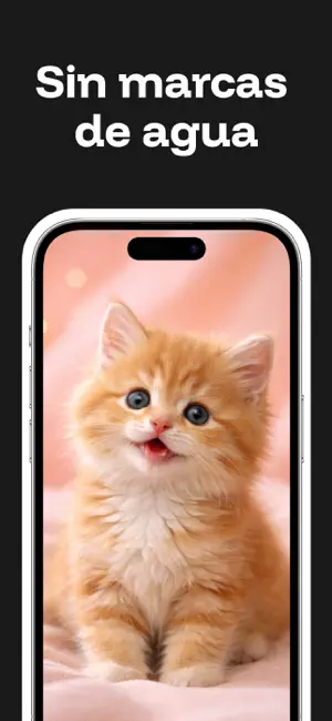 SSSTik Lite: Descargar Videos iPhone screenshot 4