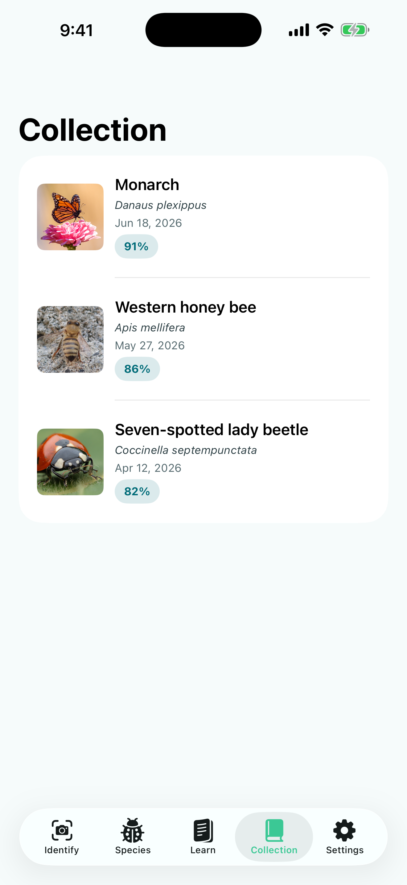 Insect Discover screenshot 5