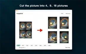 imagegrid - picture split айфон картинки 1