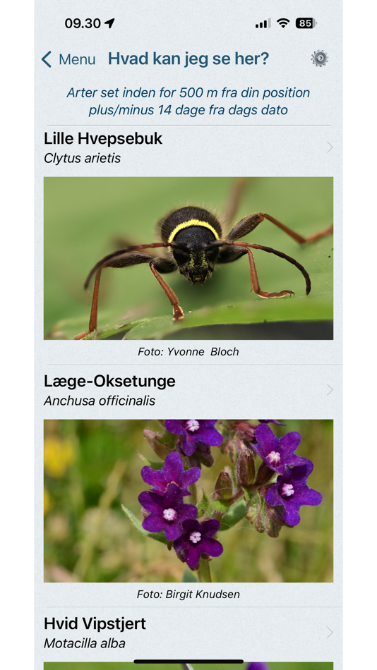 #6. Naturbasen (iOS) 由: Trifork A/S