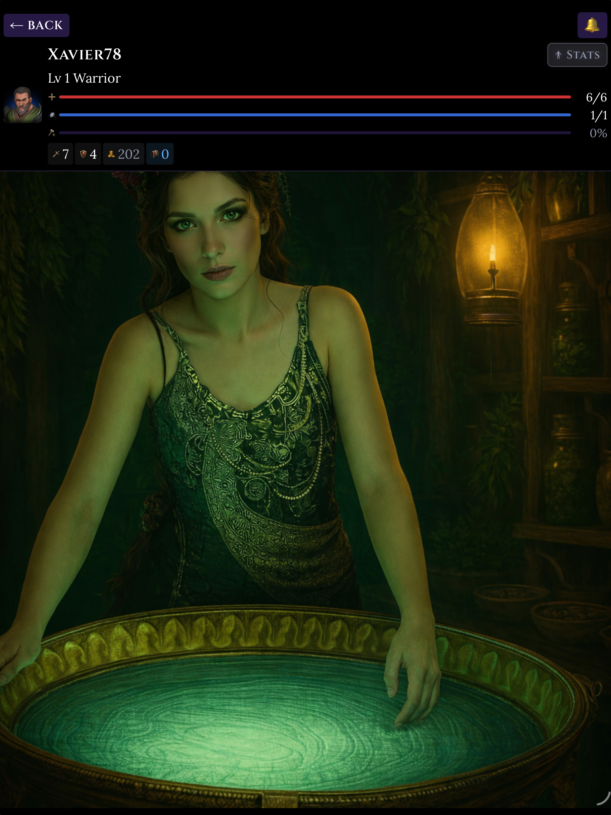 Heroes and Dragons Fire screenshot 12