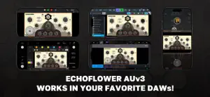 EchoFlower screenshot 2