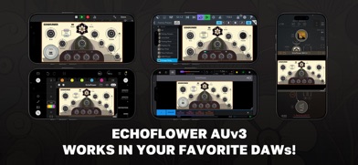 EchoFlower Screenshot 2 of 3