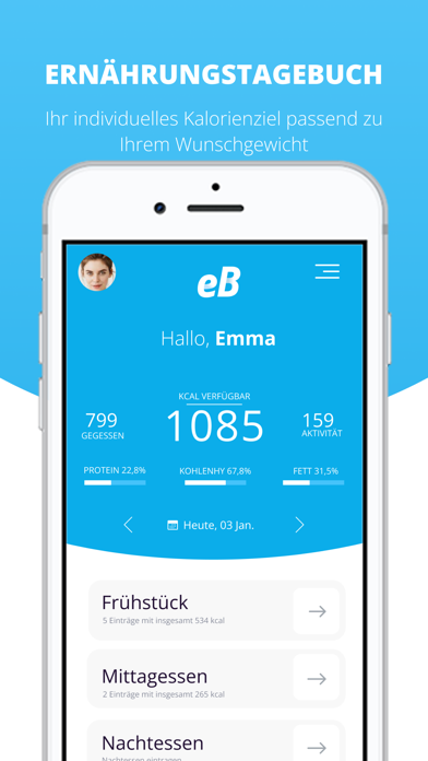eBalance Screenshot