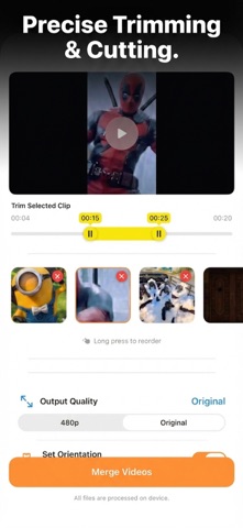 Offline Video Converter & Tool screenshot