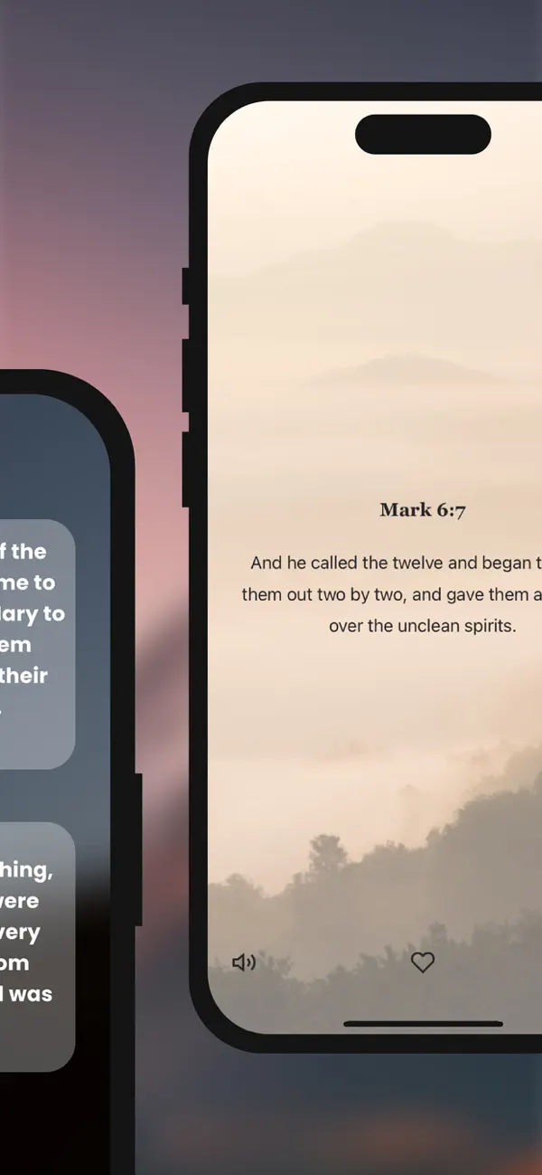 Screenshot #2 pour Holy Bible -