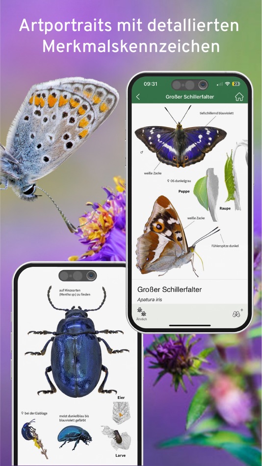 #9. Insektenführer Pro Natura (iOS) Bởi: Sunbird Images OHG