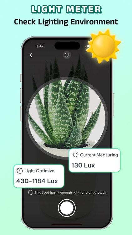 Plant ID: AI Plant Identifier