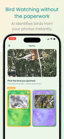 birdr: Bird Scanner Game Screenshot 4 of 6