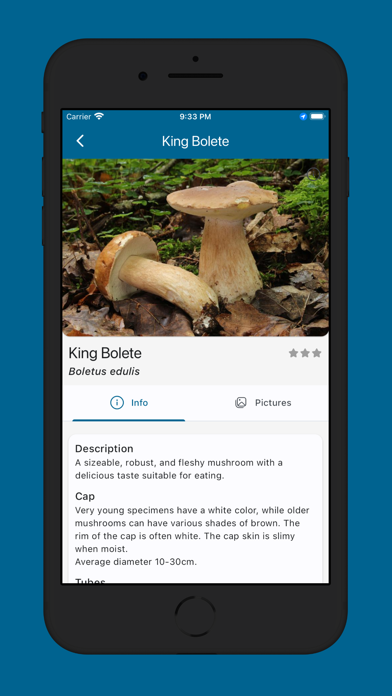 Screenshot #3 pour Mushroom Help