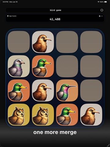 The Bird Game 9 iPad screenshot