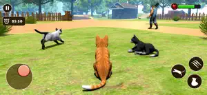 Little Pet: Cat Simulator Game screenshot #2 for iPhone