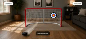Hockey Net screenshot 1