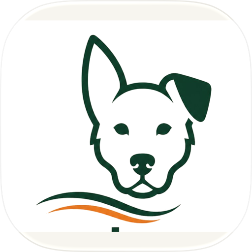 Dog Joggers - Dog fitness