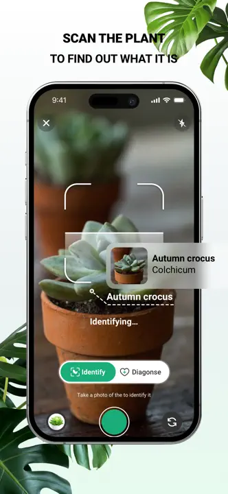 PlantDaily: Screenshot 4 von 7