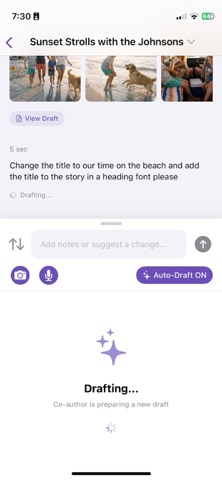 Co-Author screenshot