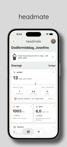Headmate: Hovedpinedagbog Screenshot 1 of 10