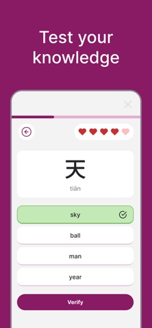 HSK Flash Quiz PRO Screenshot 3 of 3