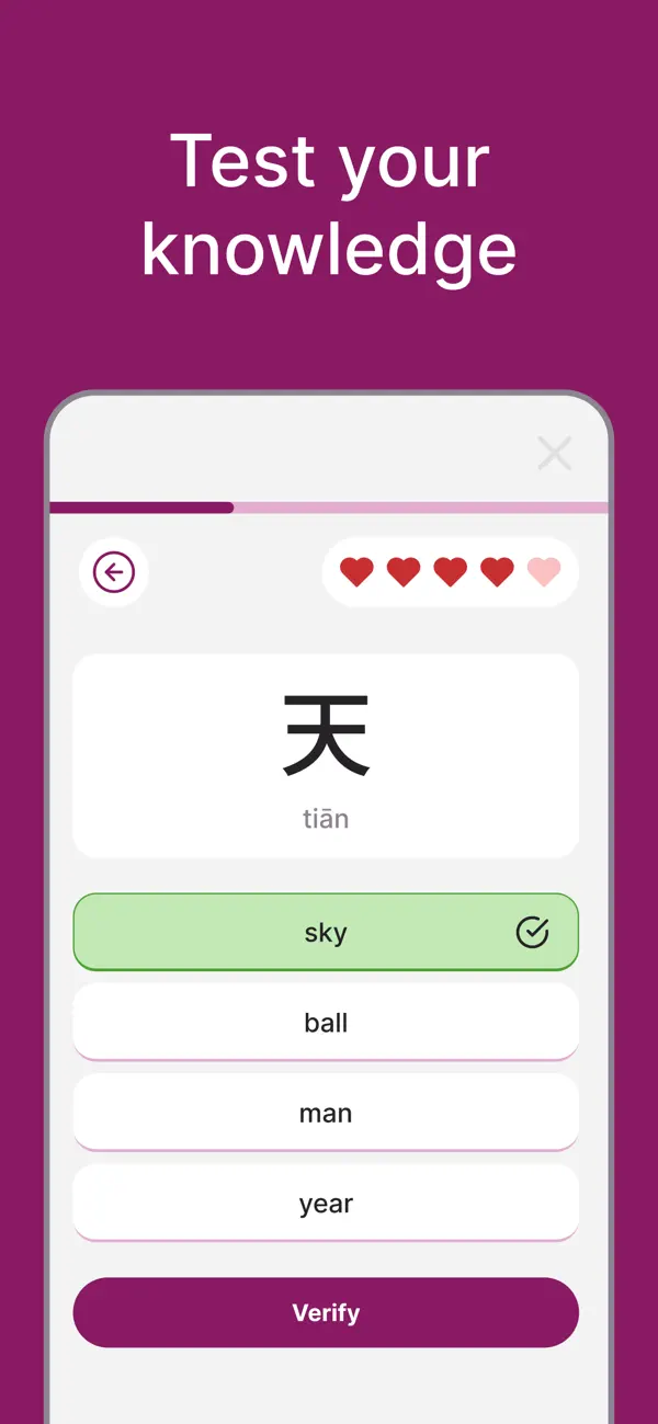 Screenshot #3 pour HSK Flash Quiz PRO