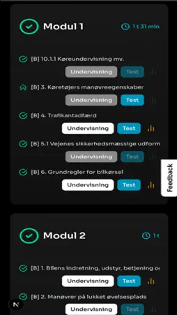 Teoriundervisning.dk screenshot 2
